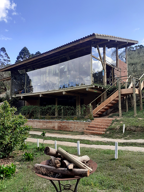 O Olival _Cunha